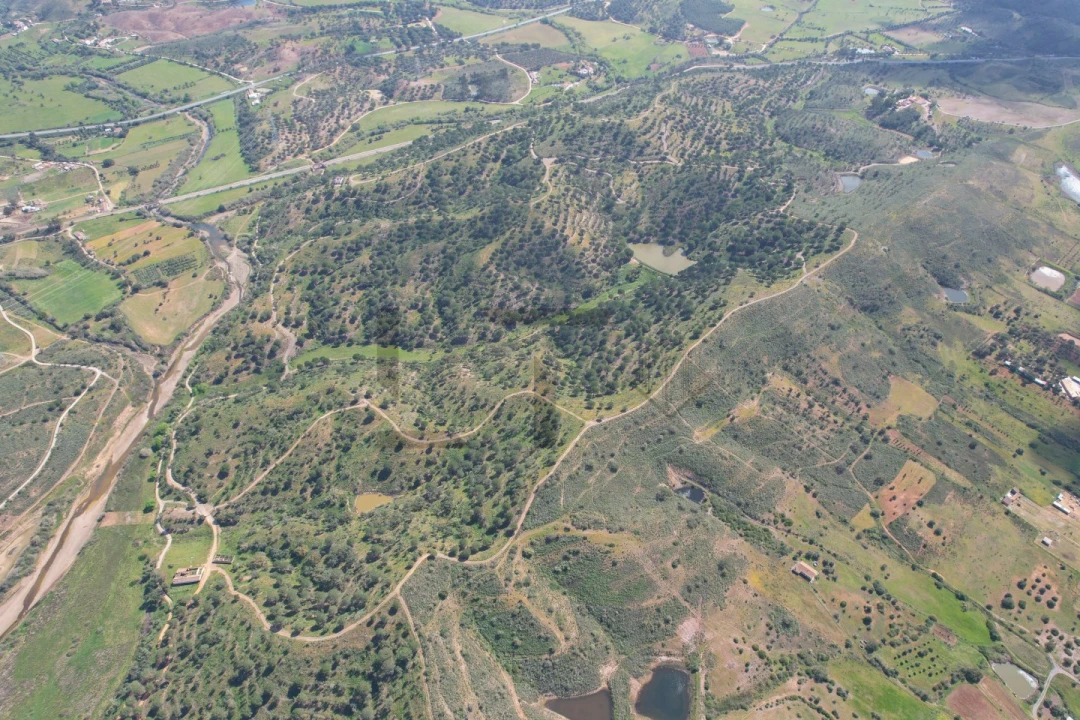 Terreno para Venda em São Bartolomeu de Messines Foto 4