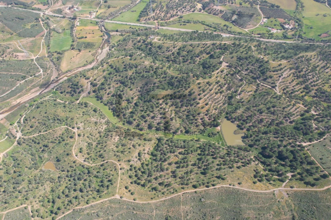 Terreno para Venda em São Bartolomeu de Messines Foto 12