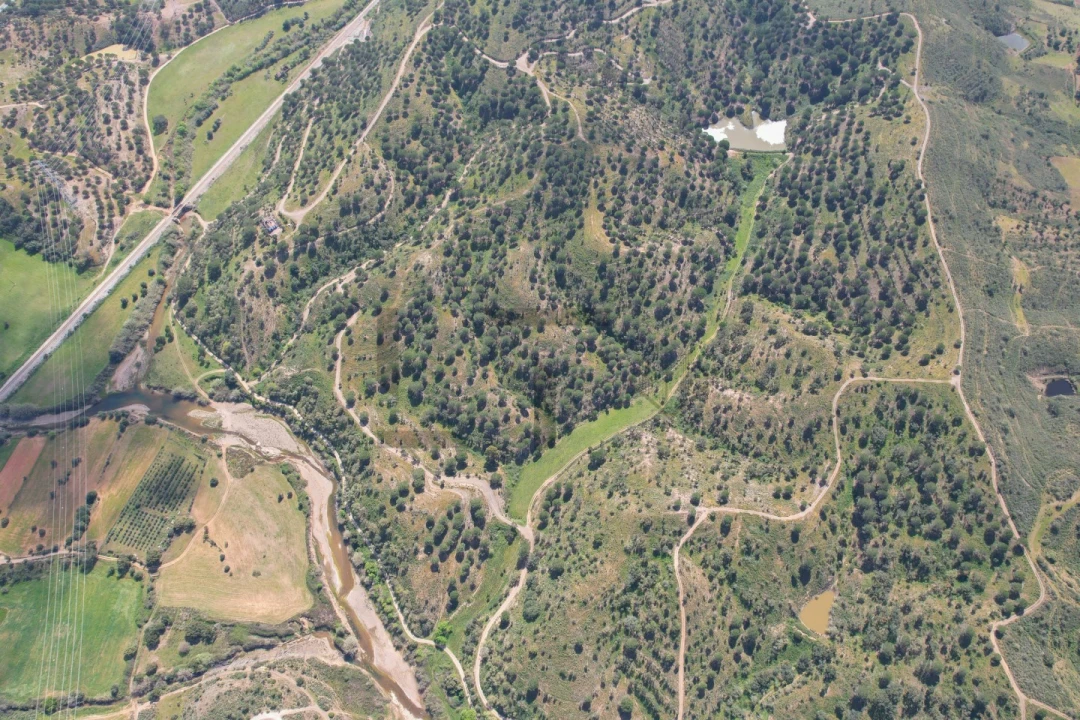Terreno para Venda em São Bartolomeu de Messines Foto 24