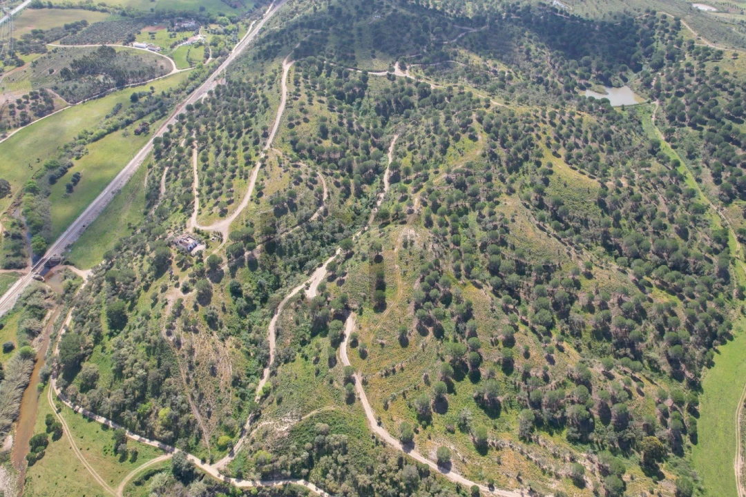 Terreno para Venda em São Bartolomeu de Messines Foto 30