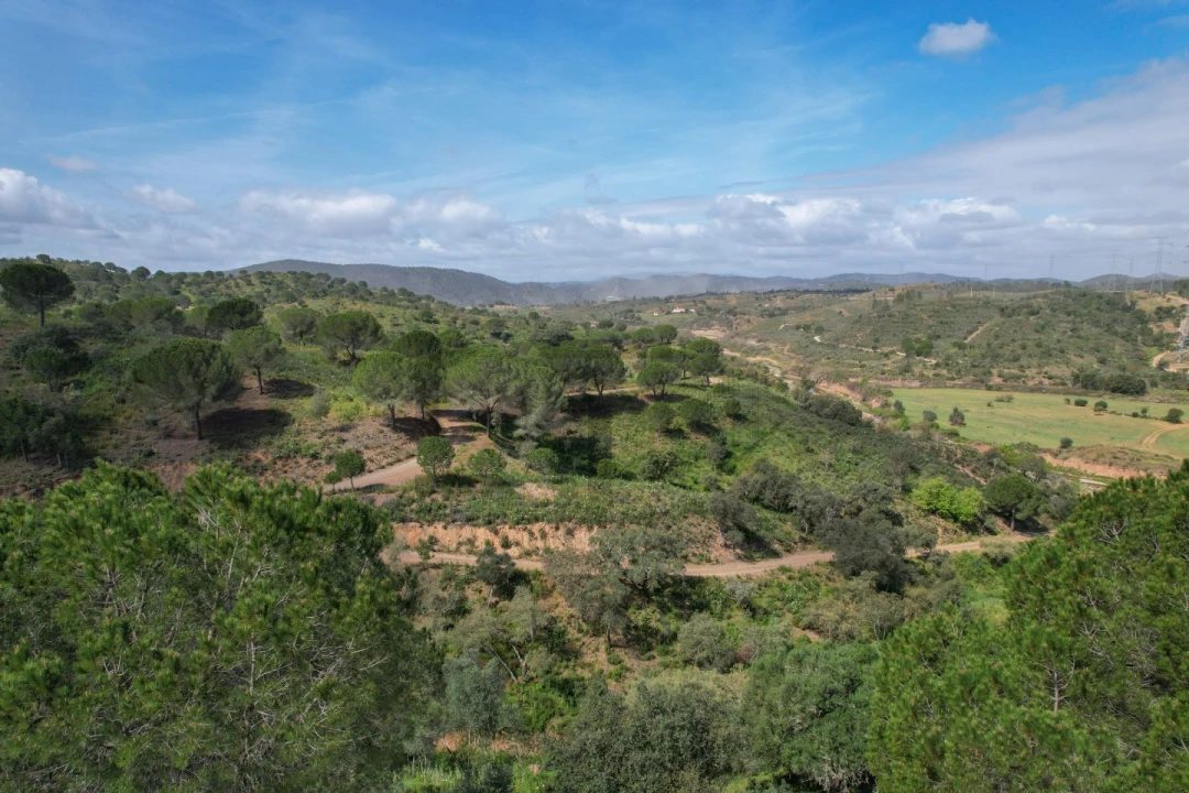 Terreno para Venda em São Bartolomeu de Messines Foto 36