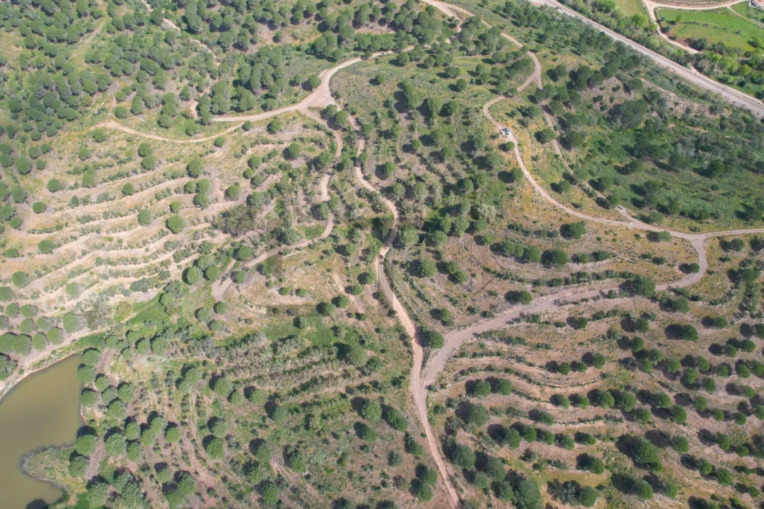 Terreno para Venda em São Bartolomeu de Messines Foto 47