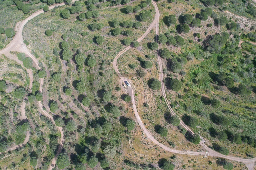 Terreno para Venda em São Bartolomeu de Messines Foto 48