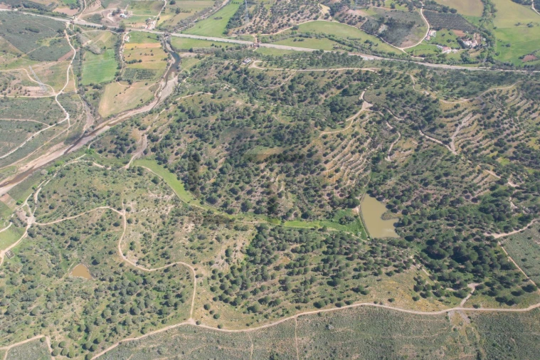 Terreno para Venda em São Bartolomeu de Messines Foto 12