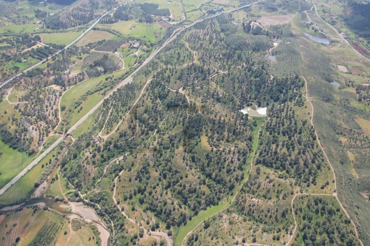 Terreno para Venda em São Bartolomeu de Messines Foto 23