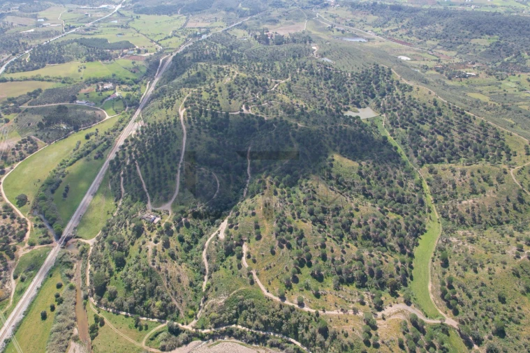 Terreno para Venda em São Bartolomeu de Messines Foto 27