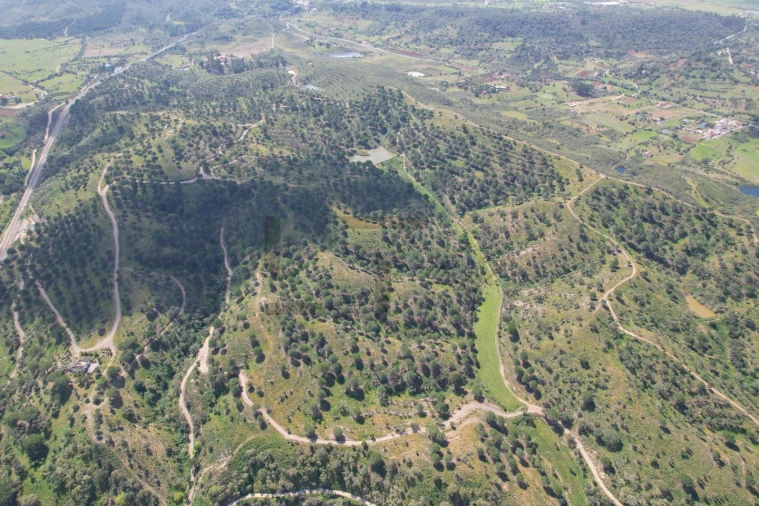 Terreno para Venda em São Bartolomeu de Messines Foto 28