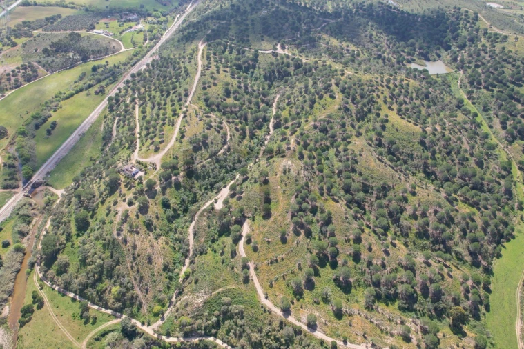 Terreno para Venda em São Bartolomeu de Messines Foto 30