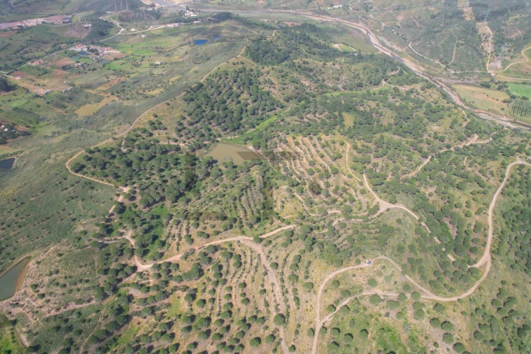 Terreno para Venda em São Bartolomeu de Messines Foto 45