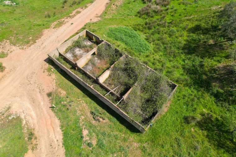 Terreno para Venda em São Bartolomeu de Messines Foto 49