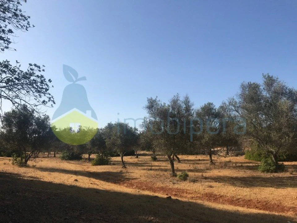Terreno Agricola ou Rústico para Venda em Algoz e Tunes Foto 10