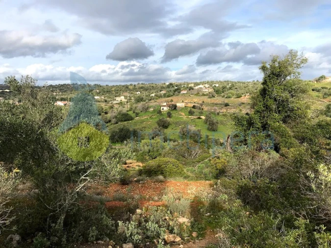 Terreno Agricola ou Rústico para Venda em Algoz e Tunes Foto 1