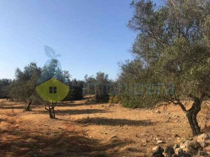 Terreno Agricola ou Rústico para Venda em Algoz e Tunes Foto 6