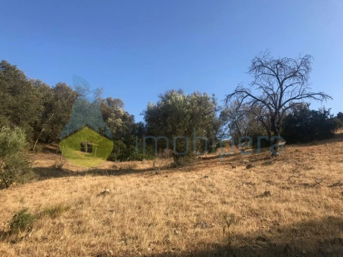 Terreno Agricola ou Rústico para Venda em Algoz e Tunes Foto 15