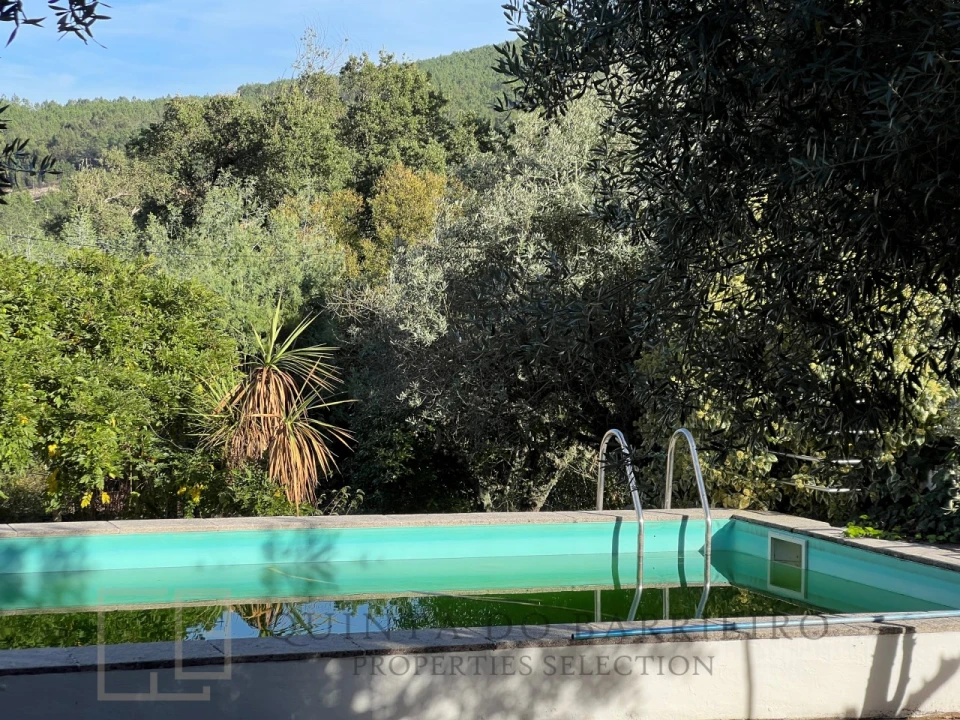 Quinta T3 para Venda em São Salvador da Aramenha Foto 3