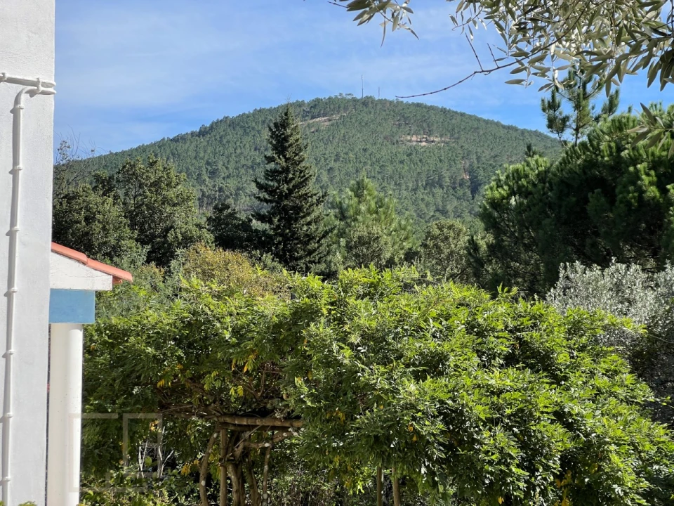 Quinta T3 para Venda em São Salvador da Aramenha Foto 19
