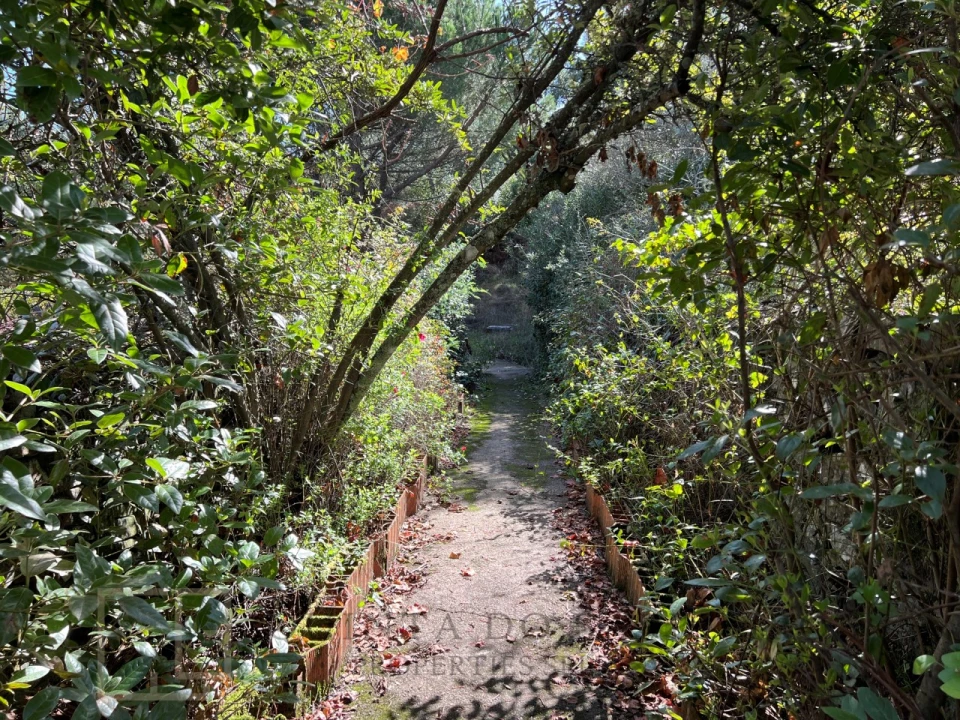 Quinta T3 para Venda em São Salvador da Aramenha Foto 25