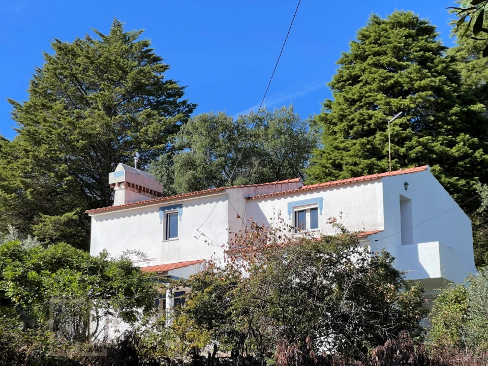 Quinta T3 para Venda em São Salvador da Aramenha Foto 26