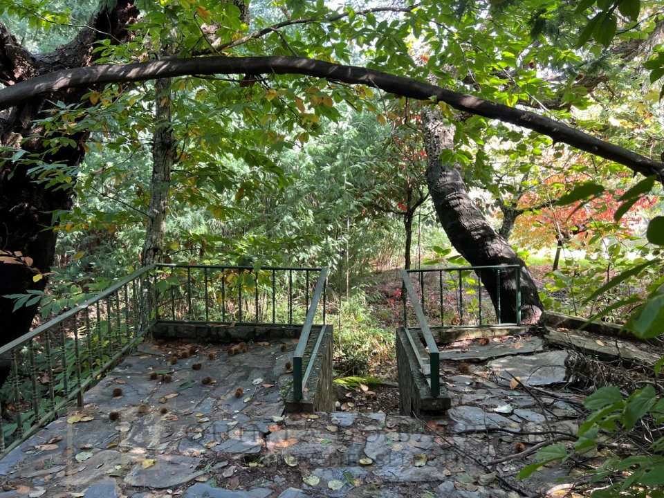 Quinta T3 para Venda em São Salvador da Aramenha Foto 27