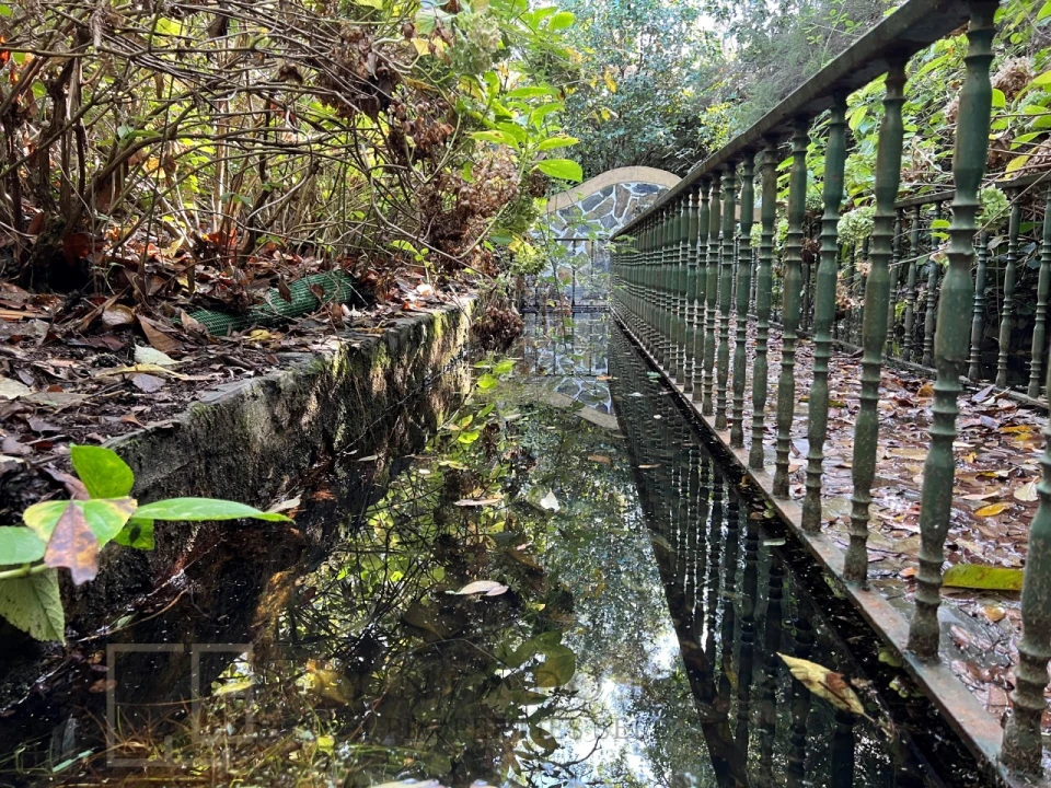 Quinta T3 para Venda em São Salvador da Aramenha Foto 28