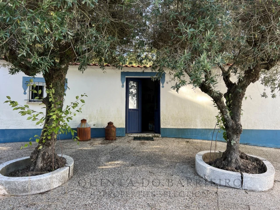 Quinta T3 para Venda em São Salvador da Aramenha Foto 49