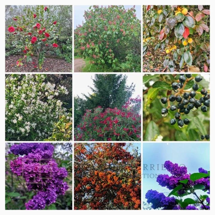 Quinta T3 para Venda em São Salvador da Aramenha Foto 53