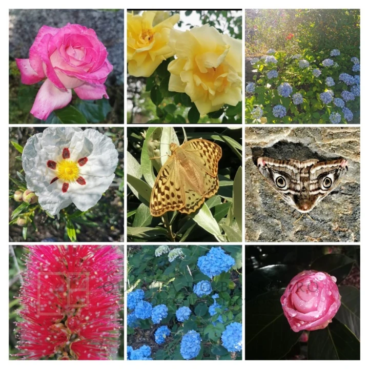 Quinta T3 para Venda em São Salvador da Aramenha Foto 55