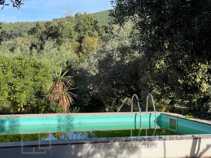 Quinta T3 para Venda em São Salvador da Aramenha Foto 3