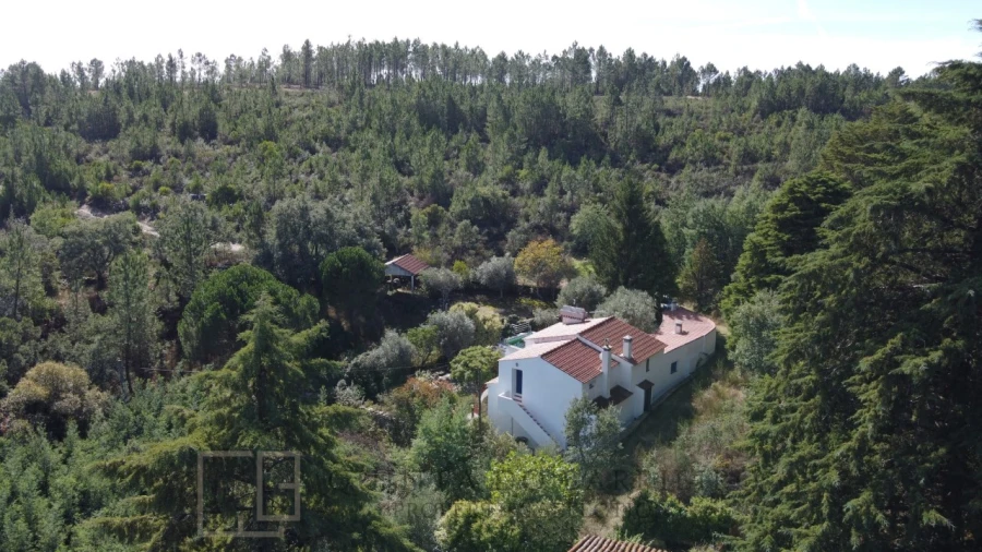 Quinta T3 para Venda em São Salvador da Aramenha Foto 13