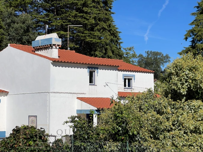 Quinta T3 para Venda em São Salvador da Aramenha Foto 15