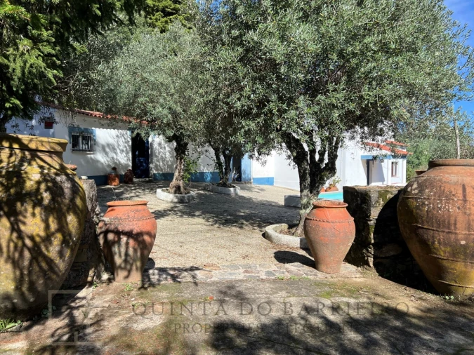 Quinta T3 para Venda em São Salvador da Aramenha Foto 16