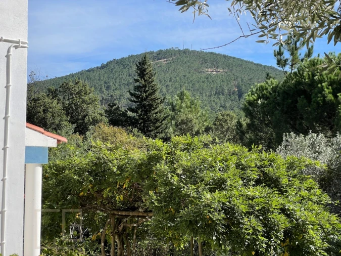 Quinta T3 para Venda em São Salvador da Aramenha Foto 19