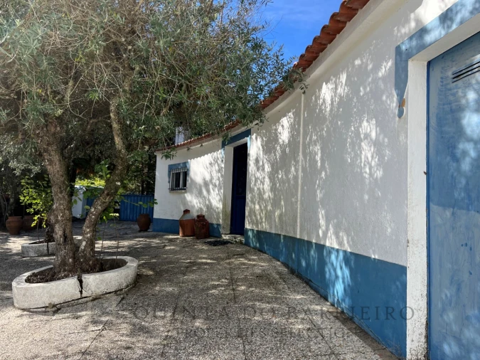 Quinta T3 para Venda em São Salvador da Aramenha Foto 20