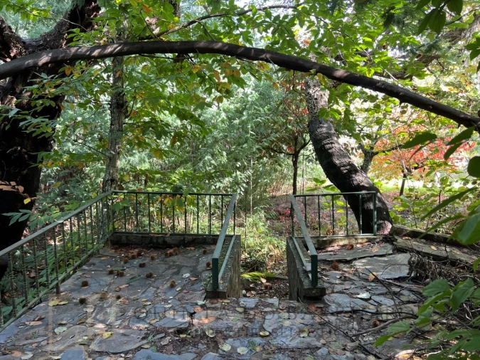 Quinta T3 para Venda em São Salvador da Aramenha Foto 27