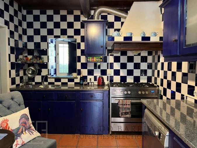 Quinta T3 para Venda em São Salvador da Aramenha Foto 37