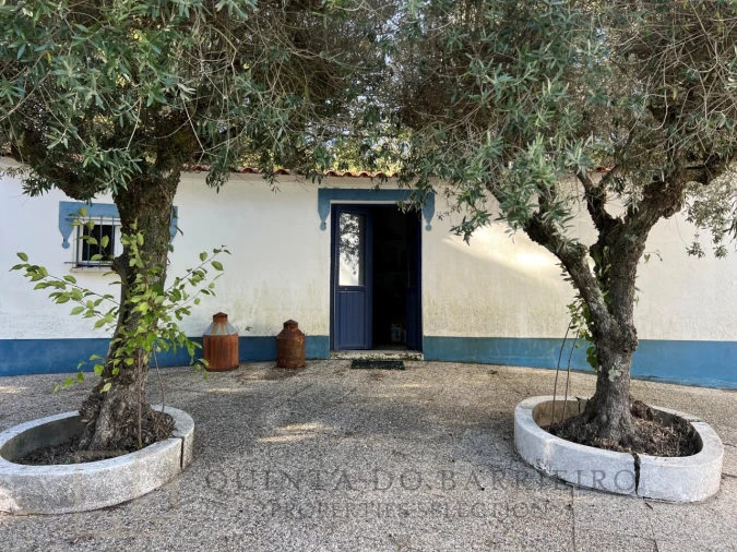 Quinta T3 para Venda em São Salvador da Aramenha Foto 49