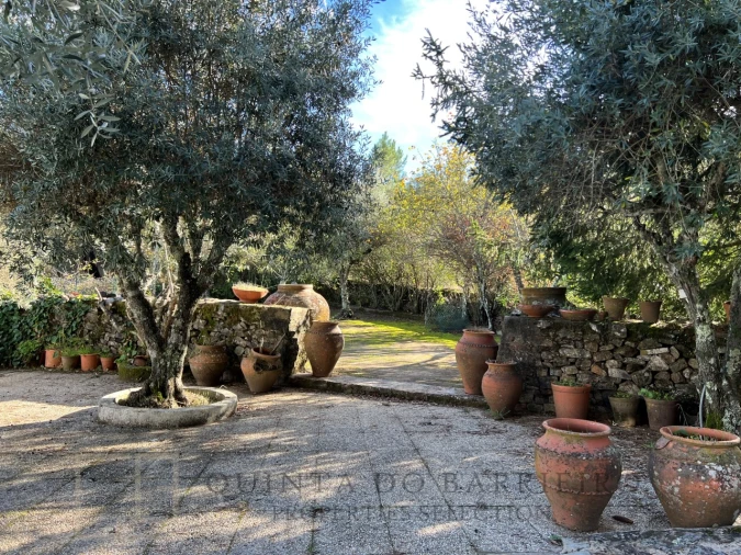 Quinta T3 para Venda em São Salvador da Aramenha Foto 50