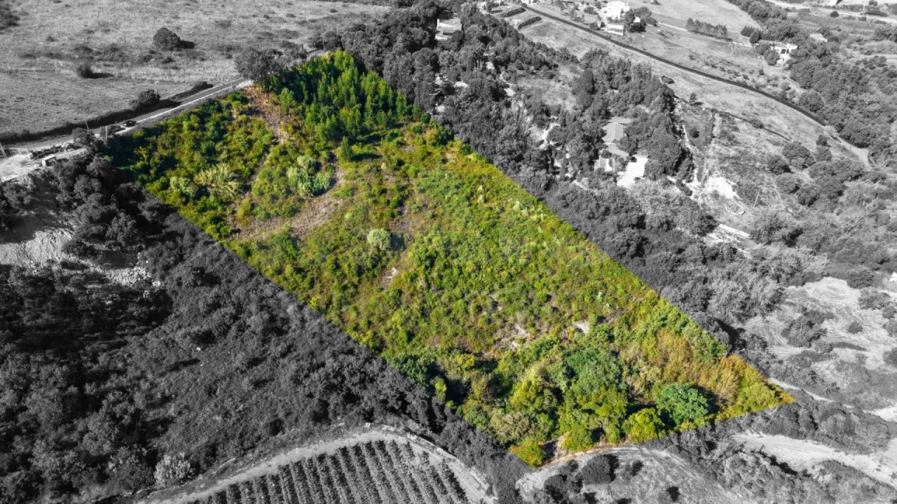 Terreno para Venda em Cardosas Foto 1