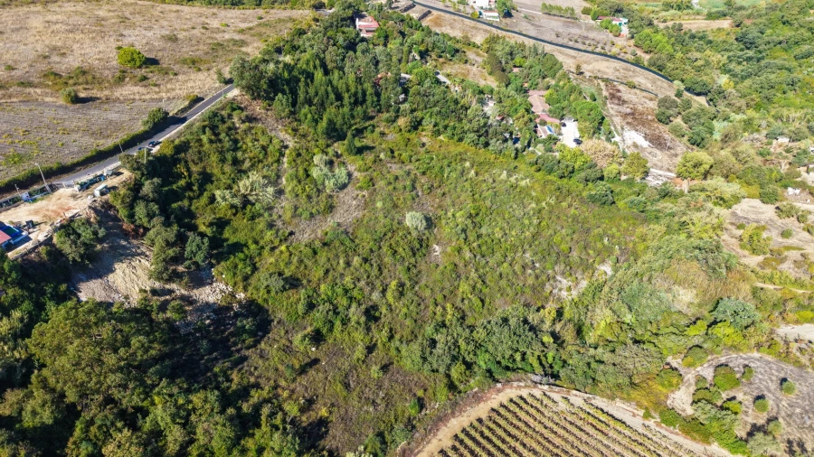 Terreno para Venda em Cardosas Foto 2