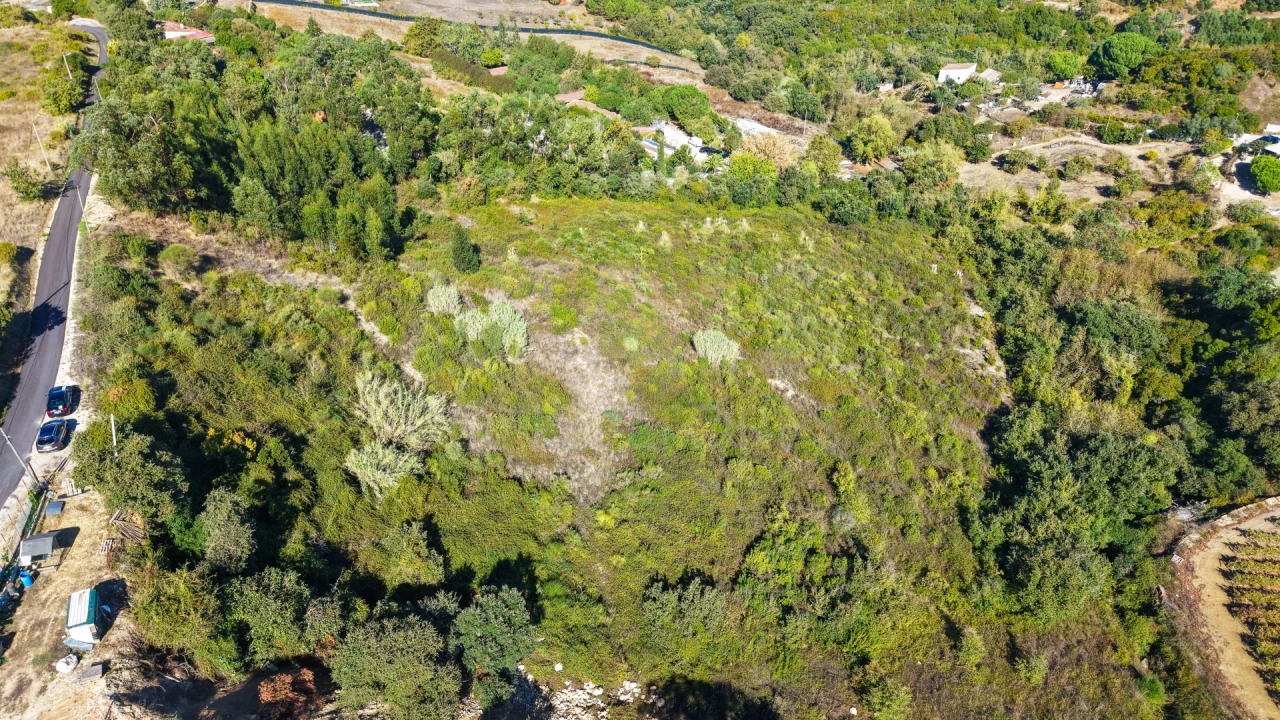 Terreno para Venda em Cardosas Foto 5