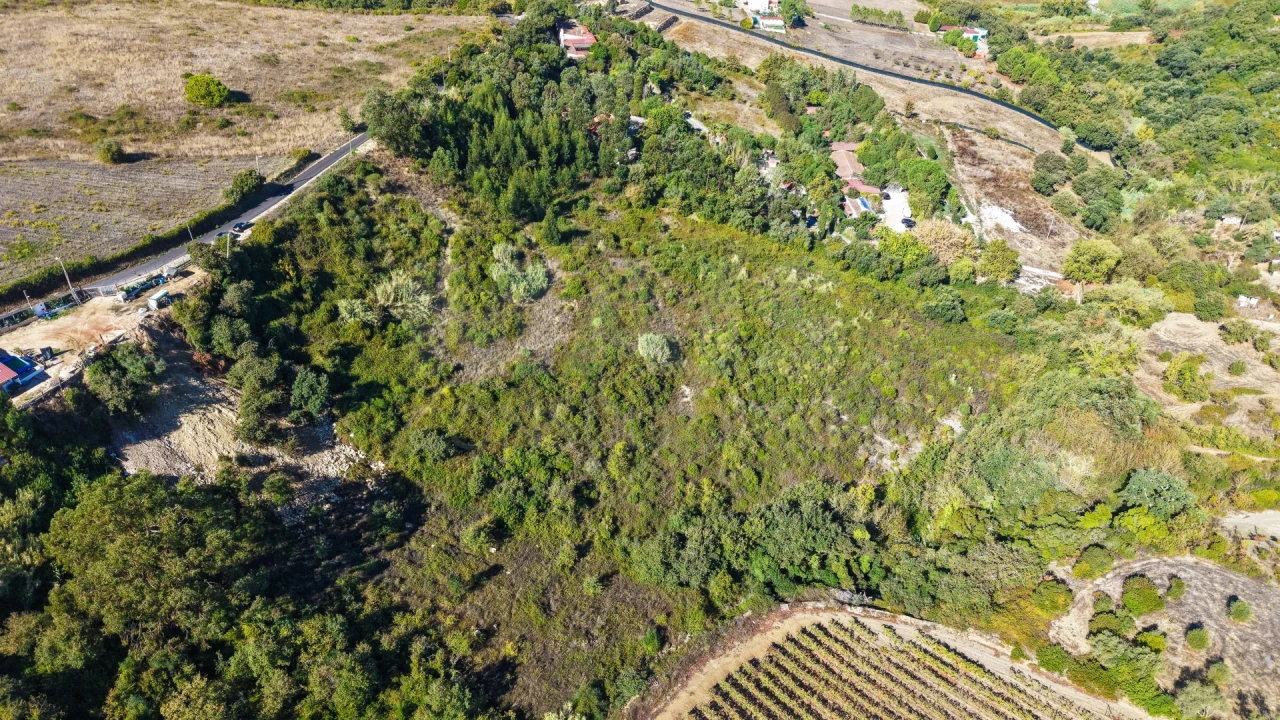 Terreno para Venda em Cardosas Foto 2