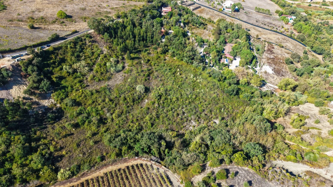 Terreno para Venda em Cardosas Foto 3