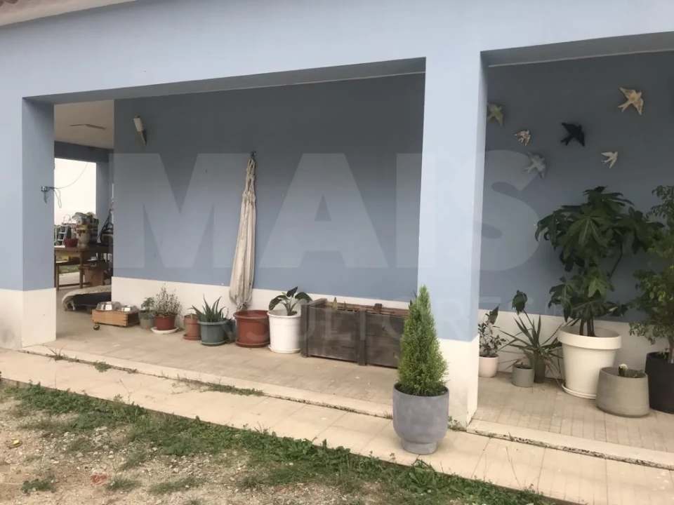 Moradia T4 para Venda em Branca Foto 3