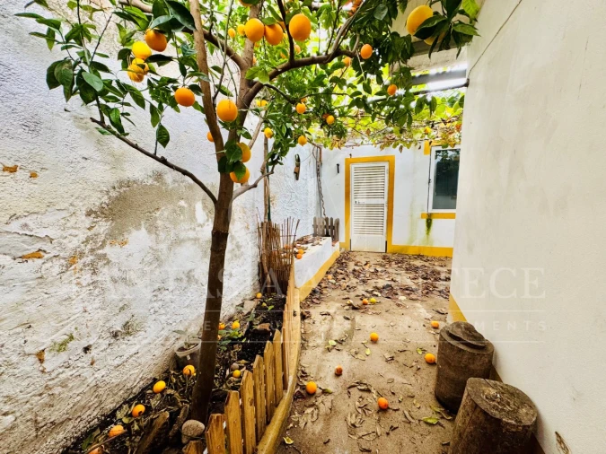 Moradia T2 para Venda em Crato e Mártires, Flor da Rosa e Vale do Peso Foto 15