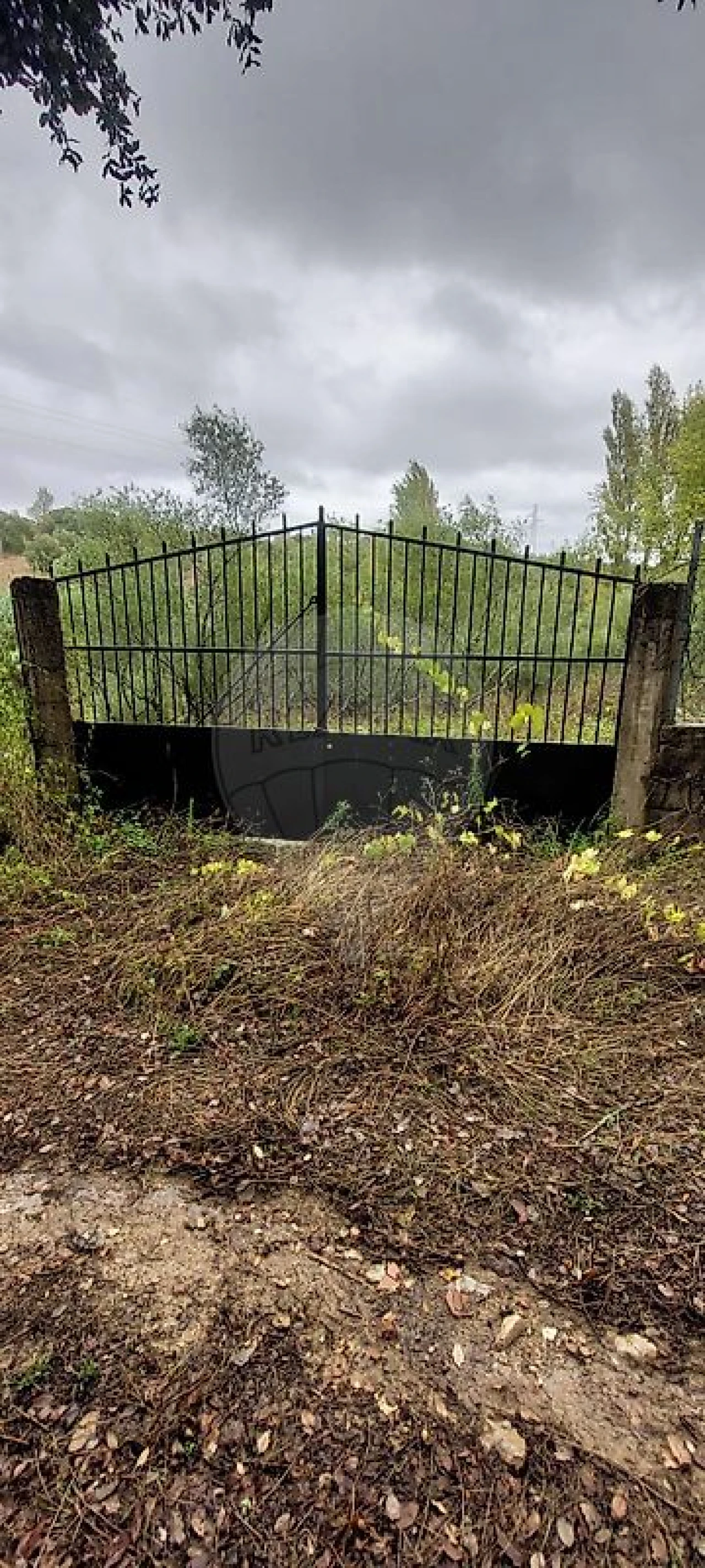Terreno para Venda em Torres Novas (Santa Maria, Salvador e Santiago) Foto 4