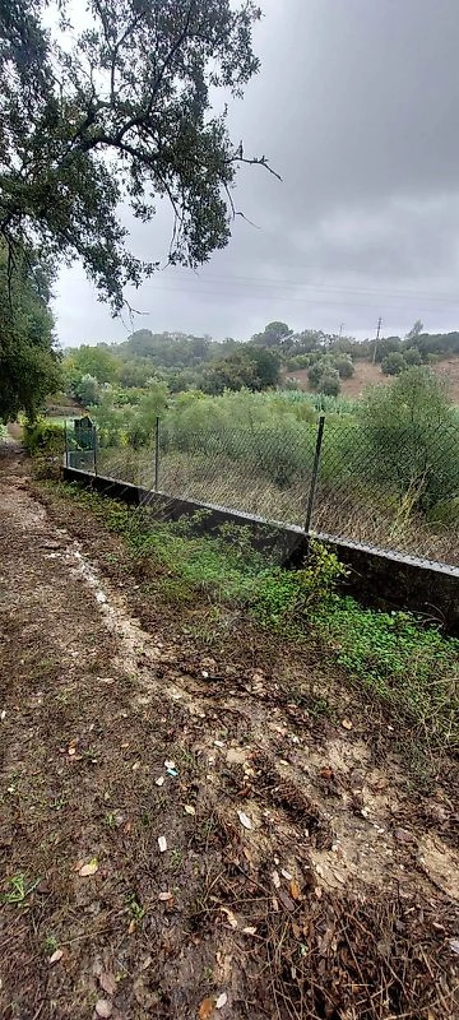 Terreno para Venda em Torres Novas (Santa Maria, Salvador e Santiago) Foto 6