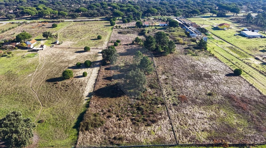 Terreno para Venda em Samora Correia Foto 9