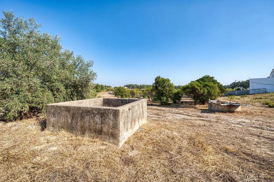 Quinta T0 para Venda em Aveiras de Baixo Foto 22
