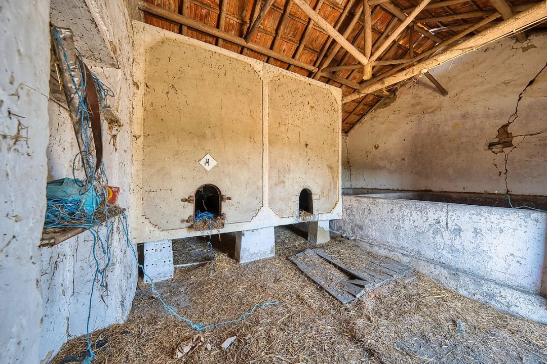 Quinta T0 para Venda em Aveiras de Baixo Foto 19