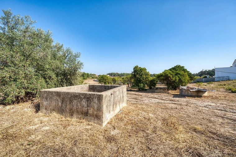 Quinta T0 para Venda em Aveiras de Baixo Foto 22